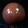 Colorful Petrified Wood Sphere #20615-1